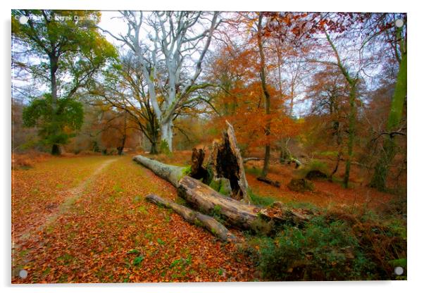 Autumn Forest Scene Acrylic by Derek Daniel