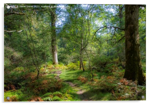 walking through the enchanted forest Acrylic by Derek Daniel