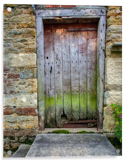 The Wooden Door Acrylic by Derek Daniel