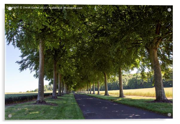 Avenue of Trees, Moor Crichel  Acrylic by Derek Daniel