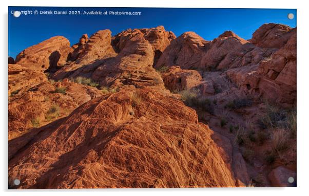 Valley Of Fire Acrylic by Derek Daniel