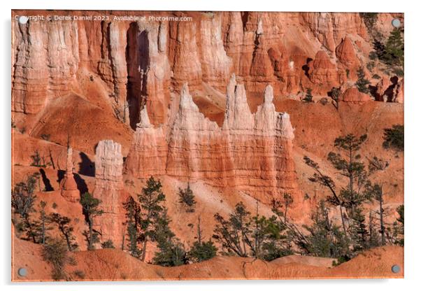 Awe Inspiring Hoodoos of Bryce Canyon Acrylic by Derek Daniel