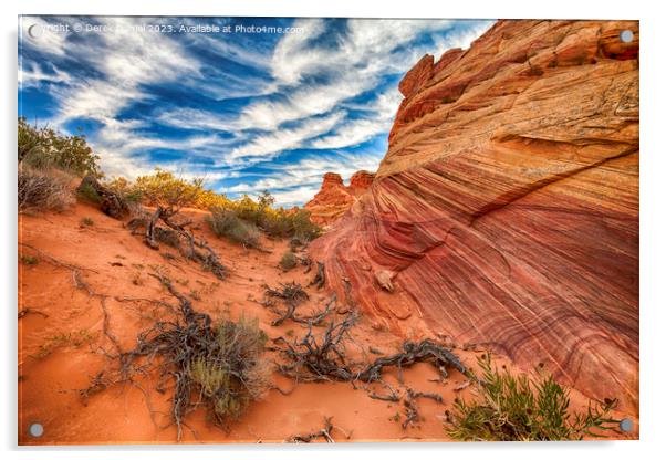 South Coyote Buttes, Arizona Acrylic by Derek Daniel