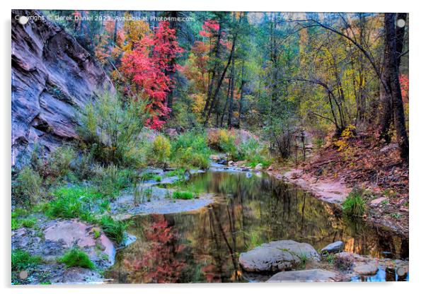 Autumnal Splendour Acrylic by Derek Daniel