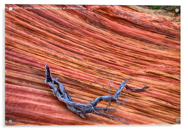 The Wonder Colours At South Coyote Buttes Acrylic by Derek Daniel