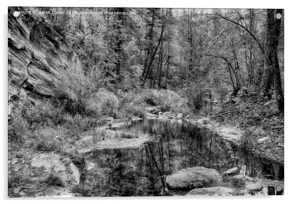 Oak Creek Canyon (mono) Acrylic by Derek Daniel