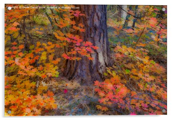 Autumn colours in Oak Creek Canyon, Sedona Acrylic by Derek Daniel