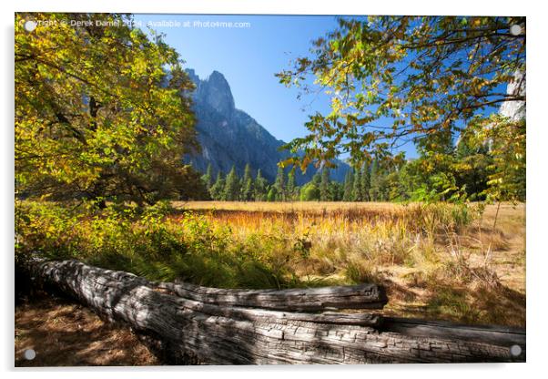 Yosemite National Park Acrylic by Derek Daniel
