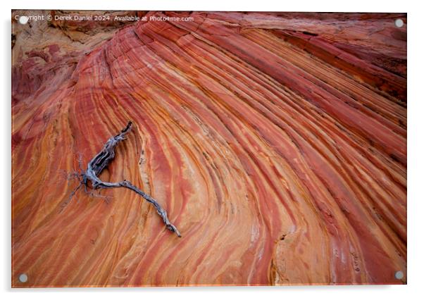 The Wonderful Colours At South Coyote Buttes Acrylic by Derek Daniel