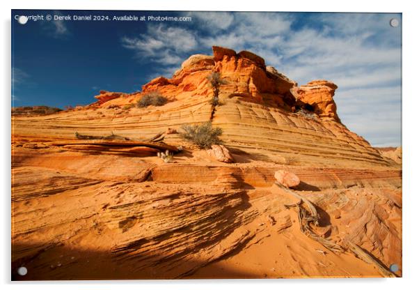 South Coyote Buttes, Arizona Acrylic by Derek Daniel