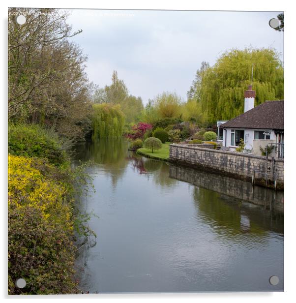 River Stour at Christchurch Acrylic by Derek Daniel