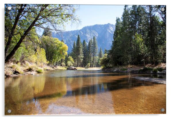  Yosemite National Park Acrylic by Derek Daniel