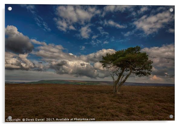 Tree, North Yorkshire Moors Acrylic by Derek Daniel