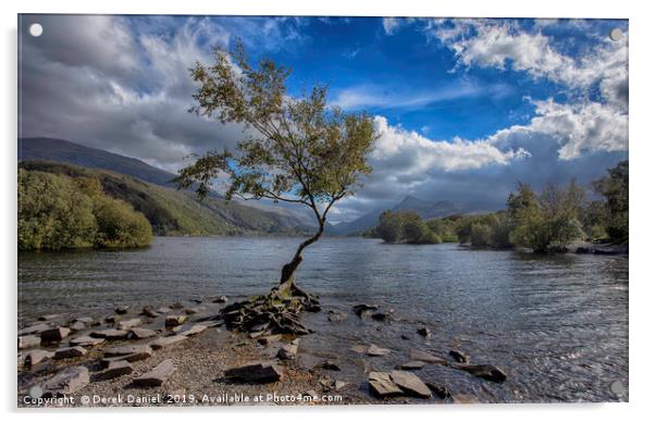 The Lone Tree Acrylic by Derek Daniel