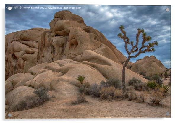 Joshua Tree National Park Acrylic by Derek Daniel