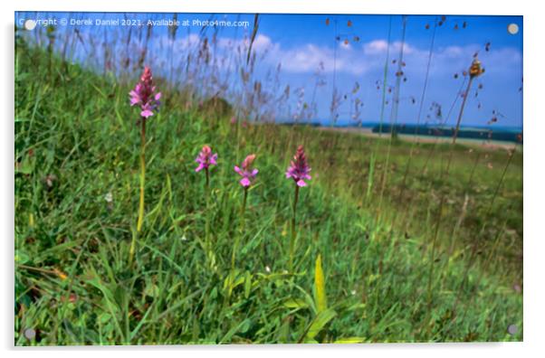 Early Purple Orchids A Hidden Beauty at Badbury Ri Acrylic by Derek Daniel