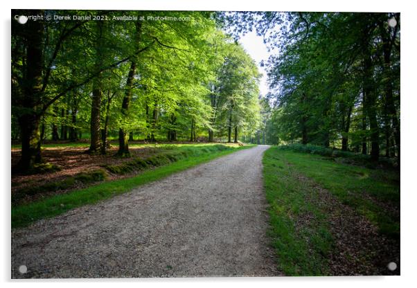 A walk through The New Forest Acrylic by Derek Daniel