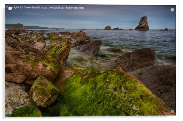 Mupe Rocks, Dorset Acrylic by Derek Daniel