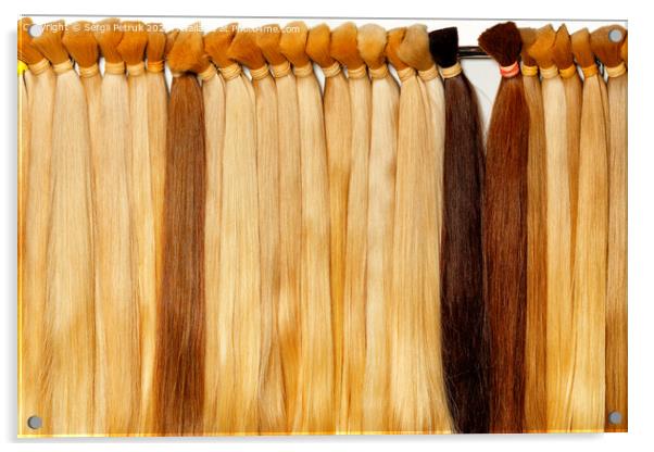 Healthy hair tufts of long light shades, natural, wheat-colored, chocolate-colored, brown. Acrylic by Sergii Petruk