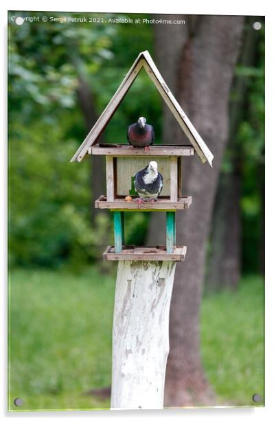 Two pigeons settled in a three-story bird feeder in a city park. Acrylic by Sergii Petruk