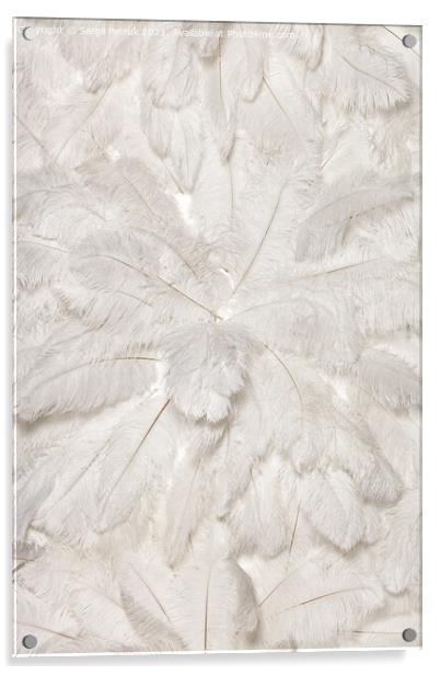 Texture and background of white ostrich feathers. Acrylic by Sergii Petruk