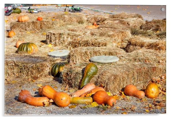 Orange pumpkins lie among sheaves of hay on a playground in an autumn city park. Acrylic by Sergii Petruk