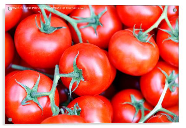 Branches of fresh red tomatoes with green stems close-up. Acrylic by Sergii Petruk