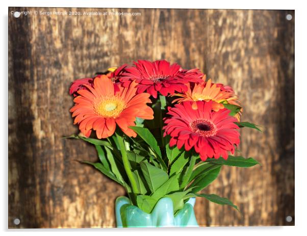 Beautiful bouquet of gerberas in a glass colored vase on the background of an old vintage wooden wall Acrylic by Sergii Petruk