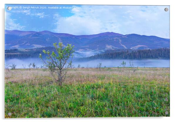 A green meadow and a growing young tree on a hill in the background of Carpathian mountains in the early morning Acrylic by Sergii Petruk