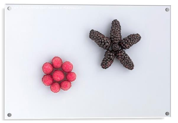 Raspberry and a big black blackberry are arranged diagonally on a light background Acrylic by Sergii Petruk