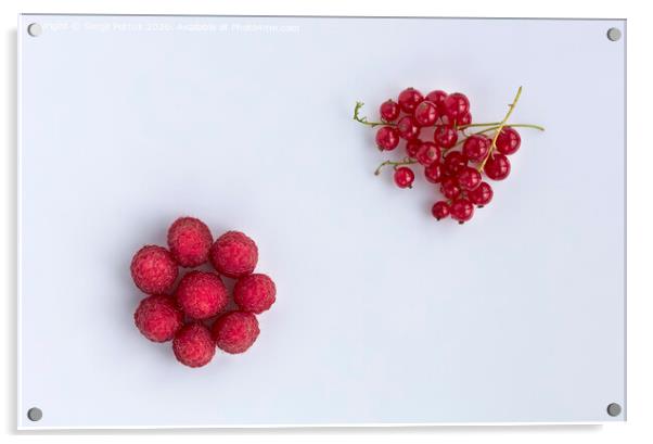 Raspberries and red currants are located diagonally on a light background Acrylic by Sergii Petruk