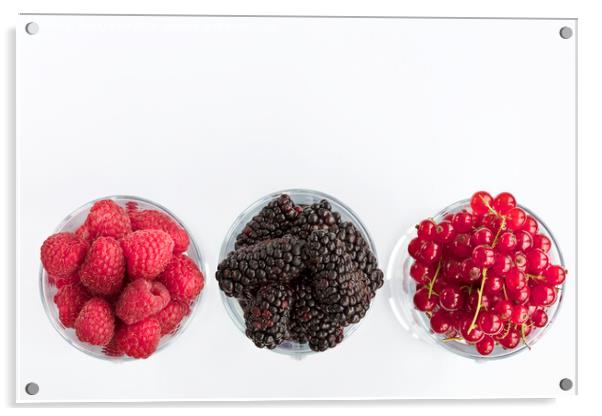 Raspberry, a big black blackberry and red currant are located in clear glass on a light background Acrylic by Sergii Petruk