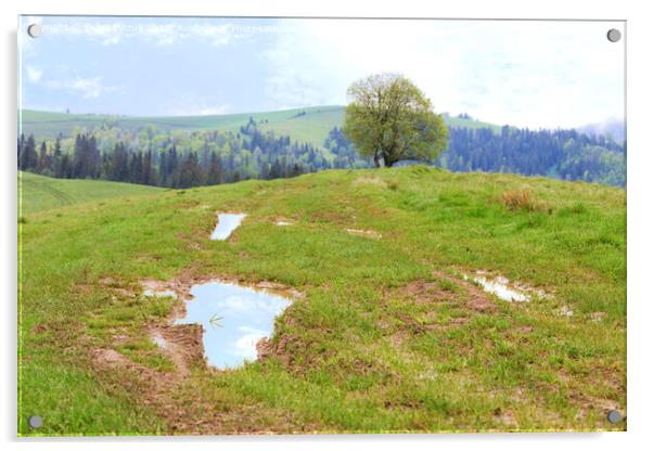 Beautiful spring landscape of the Carpathian Mountains after a warm rain. Acrylic by Sergii Petruk