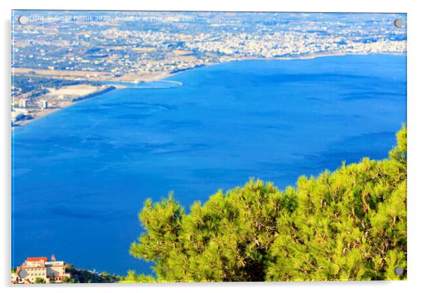 Beautiful fluffy fir branch with cones under the golden sun against the backdrop of the sea of blue Corinthian Gulf. Acrylic by Sergii Petruk