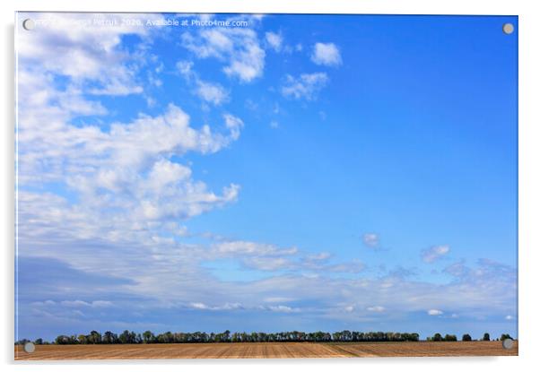 Large white clouds float in the blue sky above the horizon of the field and forest belt. Acrylic by Sergii Petruk