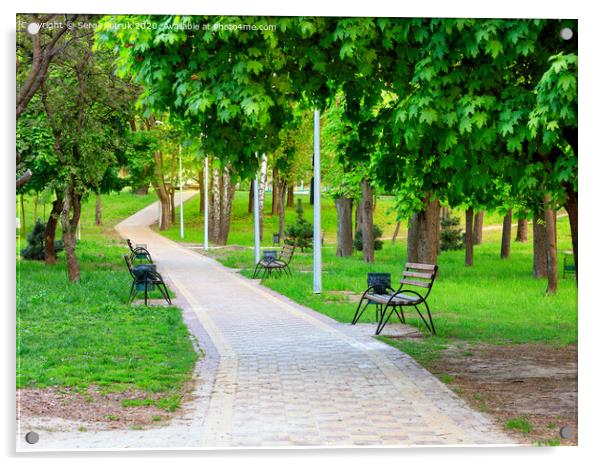 Wooden benches in a picturesque city summer park stand along a paved walkway. Acrylic by Sergii Petruk