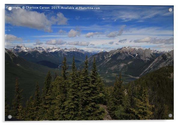 Top of the Rockies Acrylic by Charisse Carson