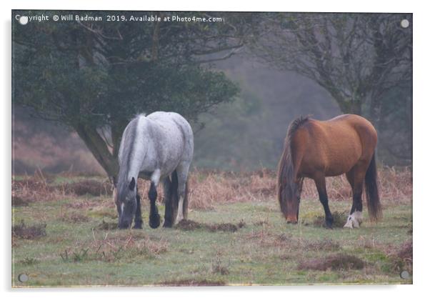 Quantock Hill Ponies Acrylic by Will Badman