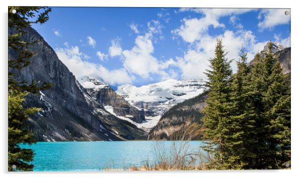 Lake Louise Banff Canada Acrylic by David Belcher
