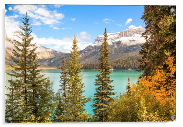 Emerald Lake Acrylic by David Belcher