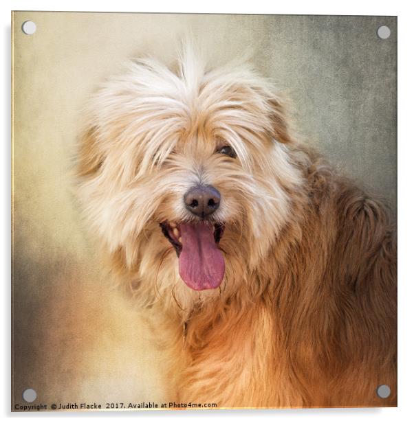 Rescue dog portrait. Acrylic by Judith Flacke