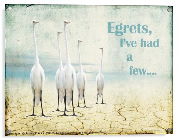 Egrets Acrylic by Judith Flacke