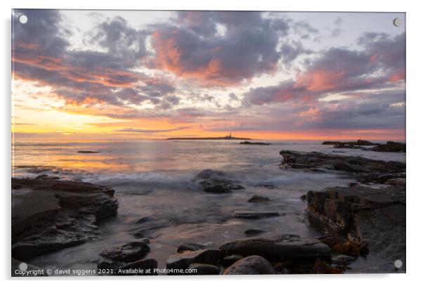 Amble links sunrise Northumberland Acrylic by david siggens