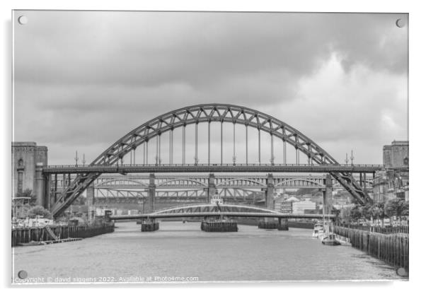 Tyne bridges Acrylic by david siggens