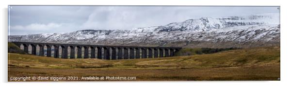Ribblehead panoramic in the winter Acrylic by david siggens