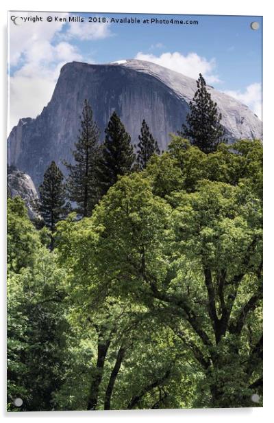 Half Dome and Trees Acrylic by Ken Mills
