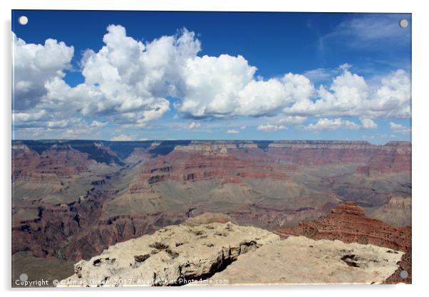 Grand Canyon National Park, Arizona  Acrylic by Carmen Green