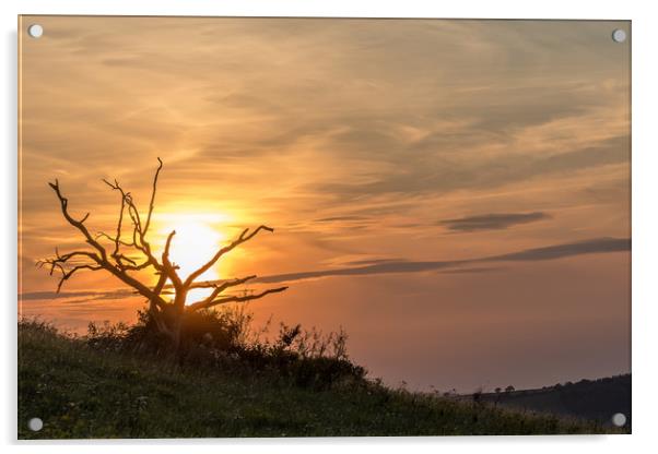 Sunset At Old Winchester Hill Acrylic by Colin Stock