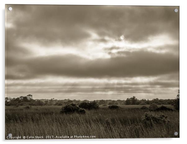 Rays Over The Wetlands Acrylic by Colin Stock