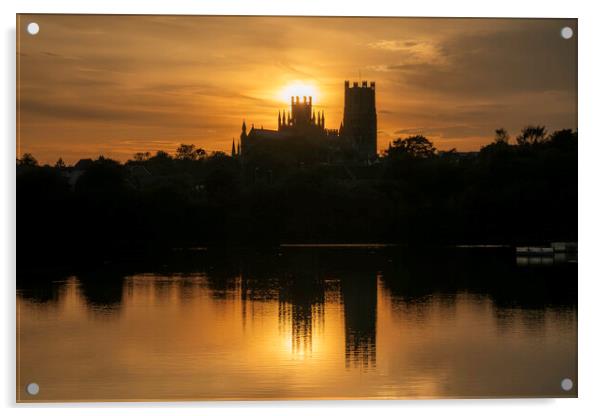 Sunset from Roswell Pits Nature Reserve, looking towards Ely Cat Acrylic by Andrew Sharpe